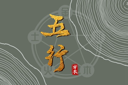 紫星命盘_天机文墨紫微斗数_紫微运势_专业命盘_八字命宫吉凶排盘